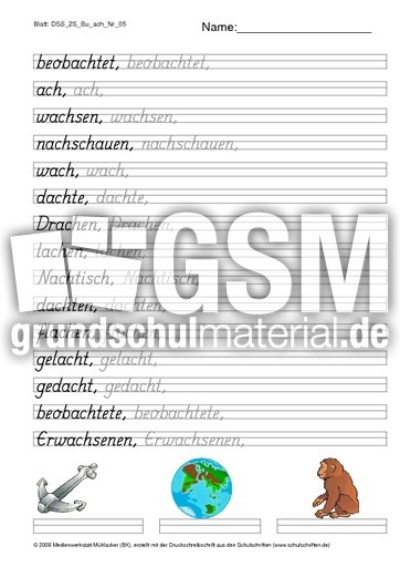 DSS_2S_Bu_ach_Nr_05.pdf